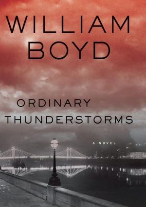 Book cover of Ordinary Thunderstorms