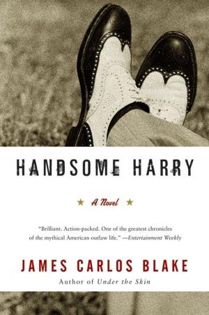 Cover of the book Handsome Harry by Tony Hillerman