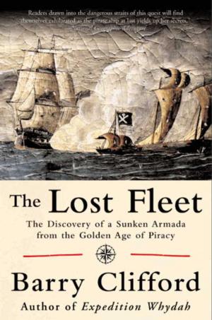 Cover of the book The Lost Fleet by Michael C White