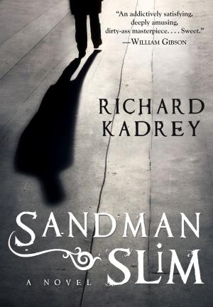 Book cover of Sandman Slim