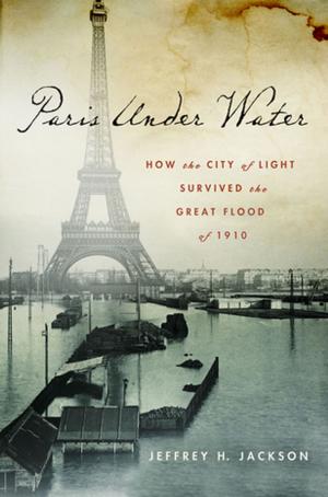Cover of the book Paris Under Water by David Gibbins