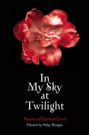 Cover of the book In My Sky at Twilight by Jill McGown
