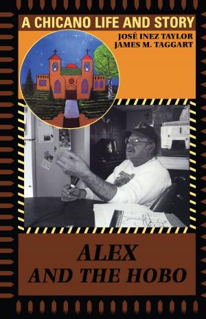 Cover of the book Alex and the Hobo by Inge Bolin