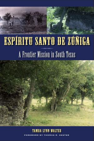 Cover of the book Espíritu Santo de Zúñiga by E. Bradford Burns, Thomas E. Skidmore