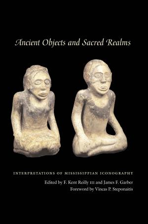 Cover of the book Ancient Objects and Sacred Realms by Camila Pastor