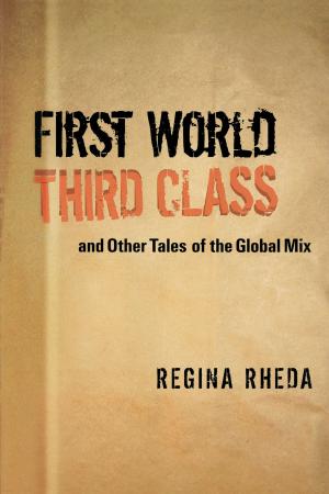 Cover of the book First World Third Class and Other Tales of the Global Mix by Richard J. Walter