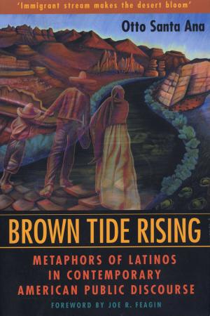 Cover of the book Brown Tide Rising by Mary  Stieber