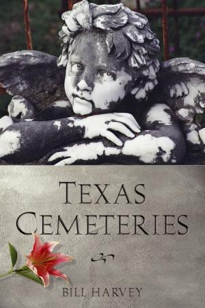 Cover of the book Texas Cemeteries by D.W. Meinig