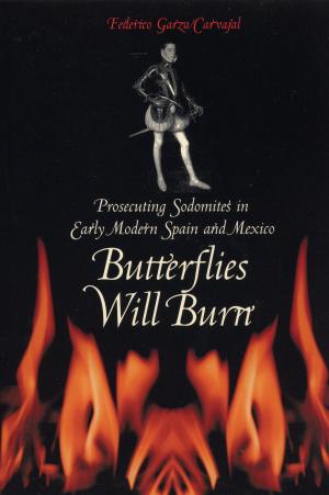 Cover of the book Butterflies Will Burn by Rosario Castellanos