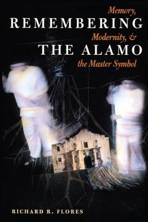Cover of the book Remembering the Alamo by David G. McComb