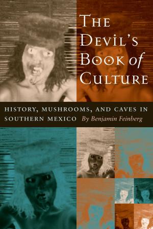 Book cover of The Devil's Book of Culture