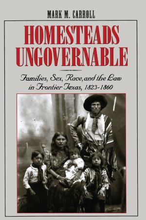 Cover of the book Homesteads Ungovernable by Steven L. Davis