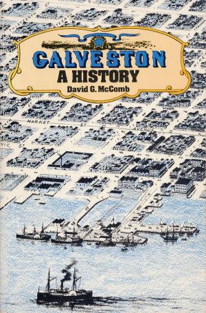 Book cover of Galveston