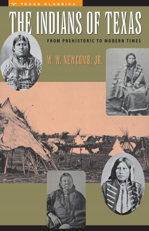 Cover of the book The Indians of Texas by Roderic H. Davison