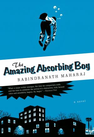 Cover of the book The Amazing Absorbing Boy by Marcello Di Cintio