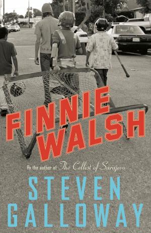 Cover of the book Finnie Walsh by Julian Sher