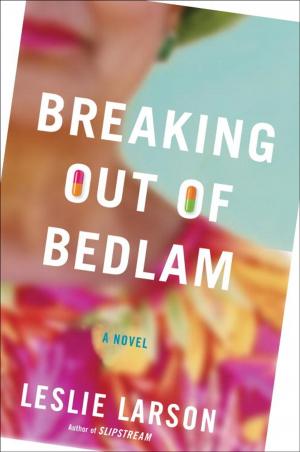 bigCover of the book Breaking Out of Bedlam by 