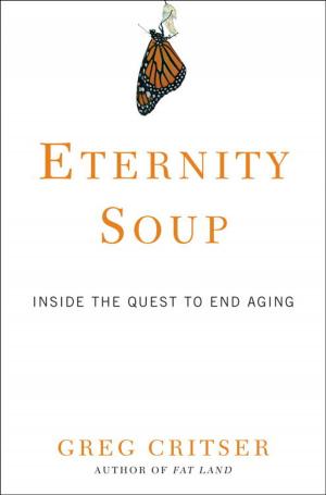 Book cover of Eternity Soup