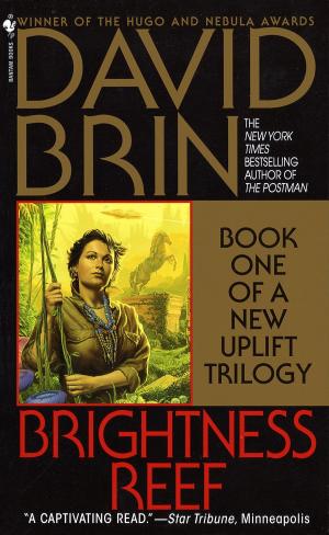 Cover of the book Brightness Reef by Gregory Benford