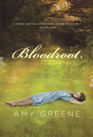 Cover of the book Bloodroot by Barbara Crossette