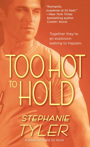Cover of the book Too Hot to Hold by Tom Deitz