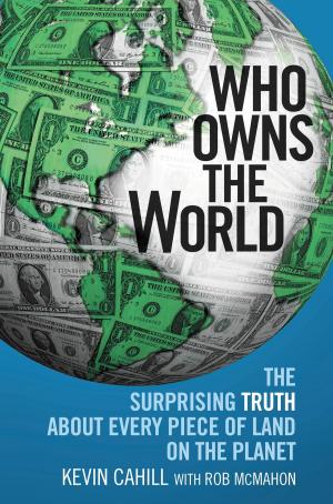 Cover of the book Who Owns the World by Dorothy Garlock