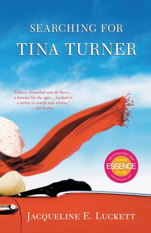 Cover of the book Searching for Tina Turner by Penthouse International