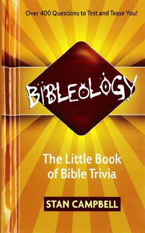 Cover of the book Bibleology by Ginny Aiken