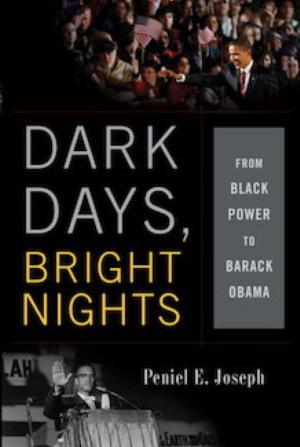 Cover of the book Dark Days, Bright Nights by Sheldon Cashdan