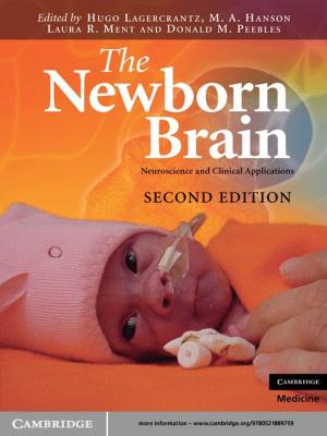Cover of the book The Newborn Brain by Josephine van Zeben