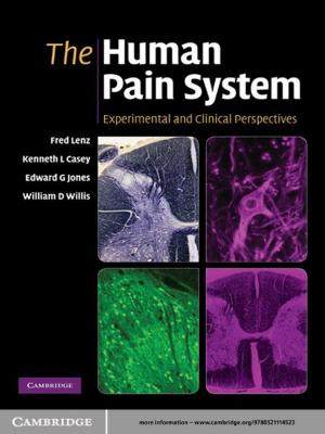 Cover of the book The Human Pain System by John J. Sloan III, Bonnie S. Fisher