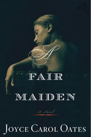 Cover of the book A Fair Maiden by Philip Roth