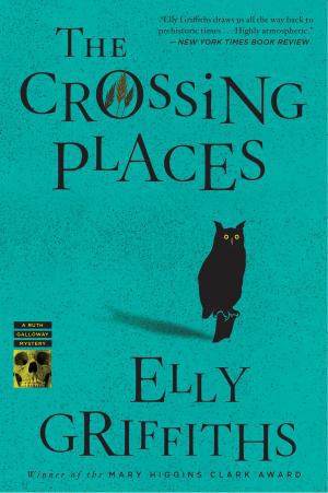 Cover of the book The Crossing Places by Helen Randall