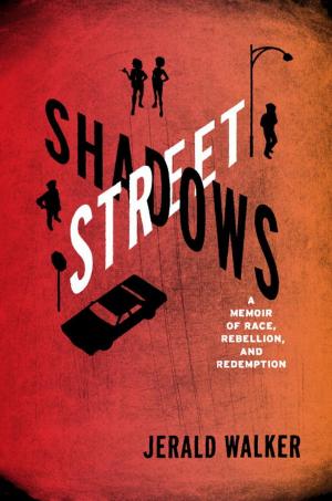 Cover of the book Street Shadows by James McBride
