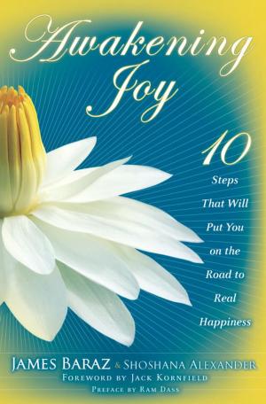 bigCover of the book Awakening Joy by 