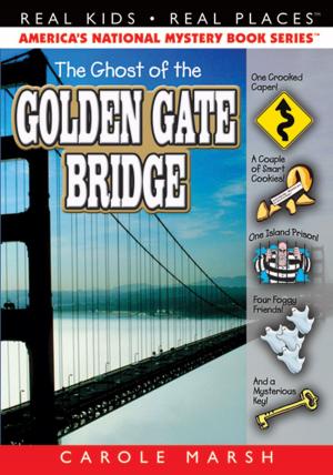 Cover of The Ghost of the Golden Gate Bridge Mystery