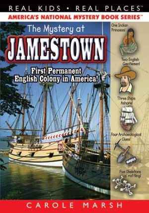 Book cover of The Mystery at Jamestown