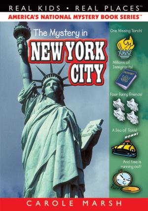 bigCover of the book The Mystery in New York City by 