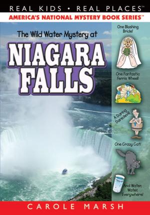 Cover of The Wild Water Mystery at Niagara Falls