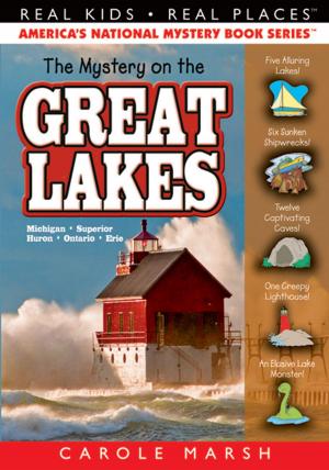 Book cover of The Mystery on the Great Lakes