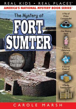 Book cover of The Mystery at Fort Sumter