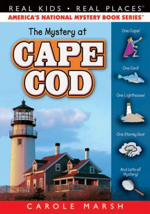 bigCover of the book The Mystery at Cape Cod by 