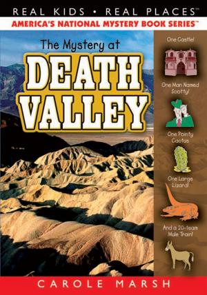 Cover of the book The Mystery at Death Valley by Carole Marsh Longmeyer