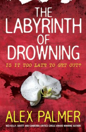 Cover of the book The Labyrinth of Drowning by Kimberly Dean, James Dean