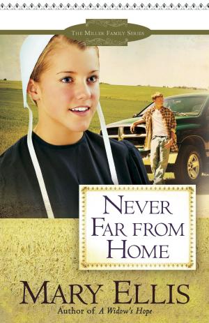 bigCover of the book Never Far from Home by 