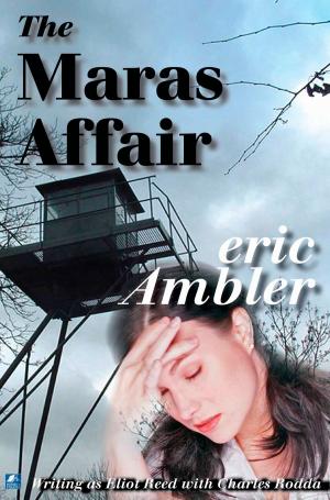 Cover of the book The Maras Affair by Peter McGarvey