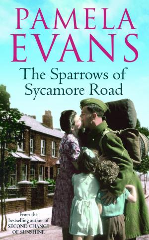 Cover of The Sparrows of Sycamore Road