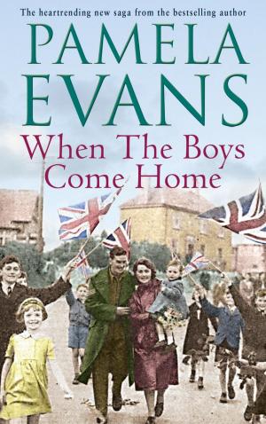 Cover of the book When The Boys Come Home by Elsebeth Egholm