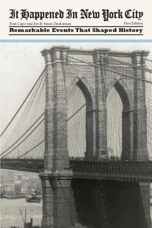 Cover of the book It Happened in New York City by Stewart M. Green