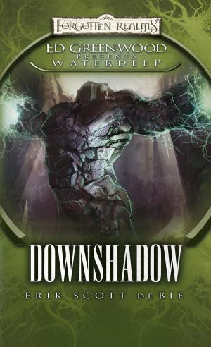 Cover of the book Downshadow by Erik Scott De Bie